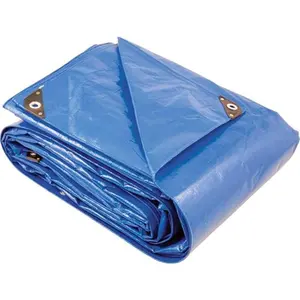 Lona Flex Agricola Azul 4X4M 200MIC VONDER